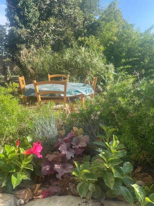 Gite Mas Provencal Tarascona Esterno foto