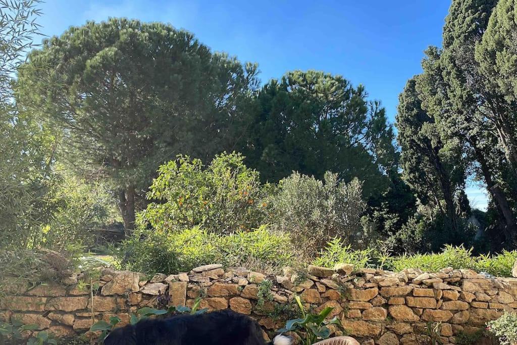 Gite Mas Provencal Tarascona Esterno foto