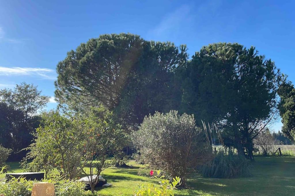 Gite Mas Provencal Tarascona Esterno foto