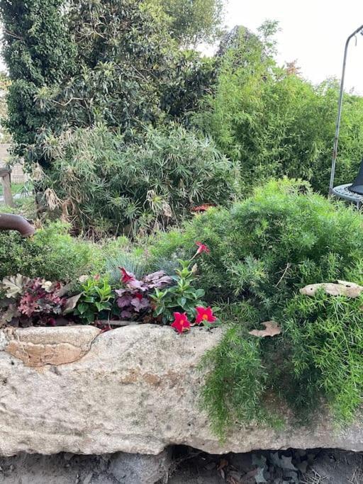 Gite Mas Provencal Tarascona Esterno foto